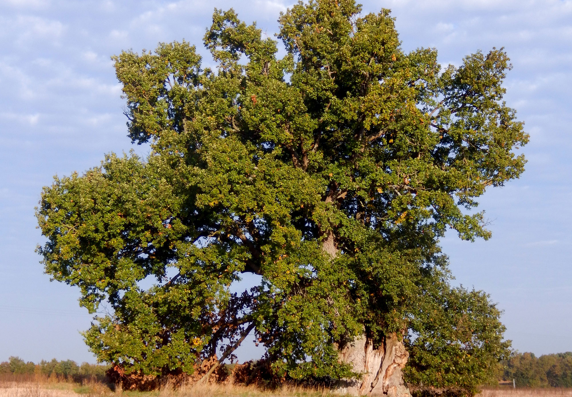 photo village de Plassay