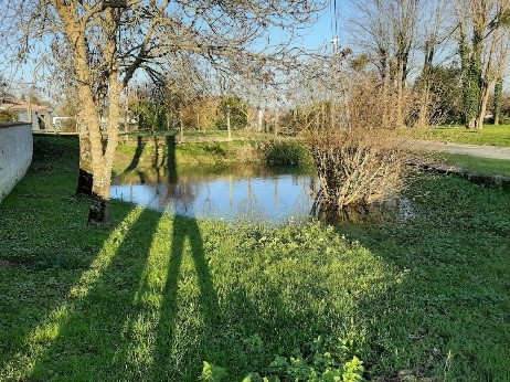 Patrimoine commune de Plassay - Photo 07