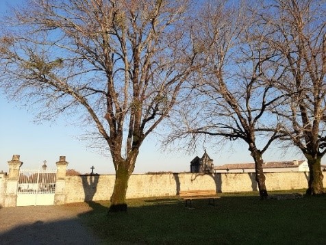 Patrimoine commune de Plassay - Photo 43