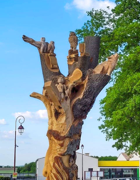 arbre salle des fêtes